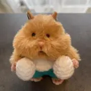 ぽちちの画像