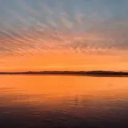 rinrinの画像