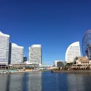 sakuraの画像