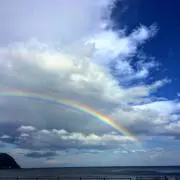 llyyの画像