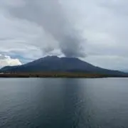 しろの画像