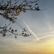 NOIRの画像