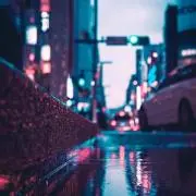 くもの画像