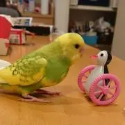 ☆みぃちゃん☆