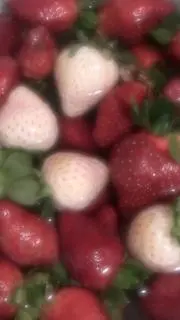 mの画像
