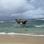 Dの画像