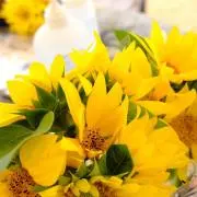 sunflowerの画像