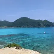 はるの画像