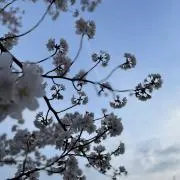 abの画像