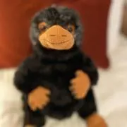 ケコちゃんの画像