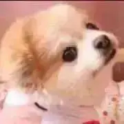 価格相談お気軽にどうぞ☆tomo☆の画像