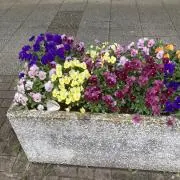 枝ハル＊即購入OK!の画像