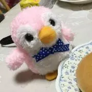 さくら