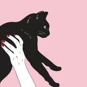 nimaの画像
