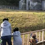 りぼんの画像