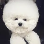 bonbon★の画像