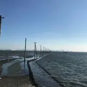 TKの画像