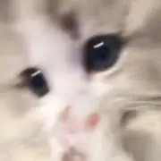 ♩の画像