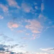 SHOKORAの画像