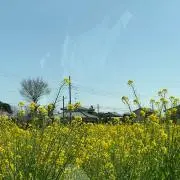 skyさん