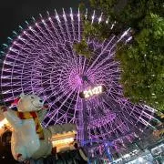 yuppiの画像