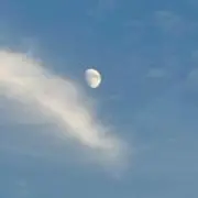 はるの画像