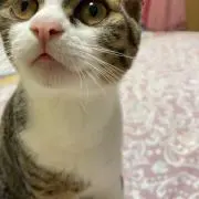 ♡プロフ必読お願い致します。の画像