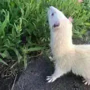 おんちゃん★の画像