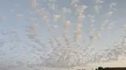 ショナチャン