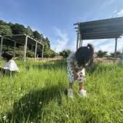 nutz☆の画像