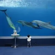 EMI♡プロフ必読