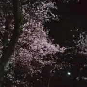 あみの画像
