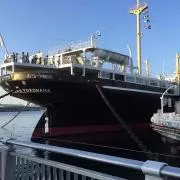 うっでぃ