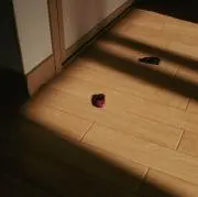 糸