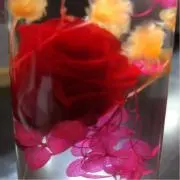 バレンタインの画像