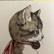 saryの画像