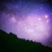 山羊の画像