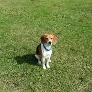 みぽりの画像