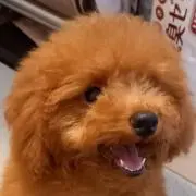 ともママ