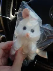 くまごろう【即購入◯】の画像