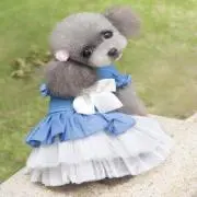 ピンキー