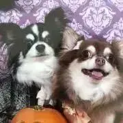 ティファMAMA