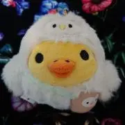 白ふくろうの画像