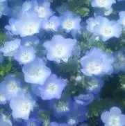 lea 無言◎の画像