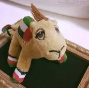momoの画像
