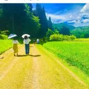 エムの画像