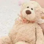ぷりきゅあの画像