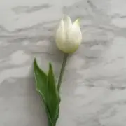 にこ【即購入可能♡】の画像