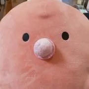 ふわふわレタス。の画像