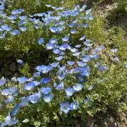 ちおの画像